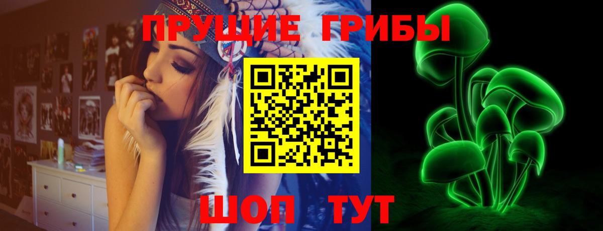 Лабинск  купить   Вход с VPN  Галлюциногенные грибы мицелий 